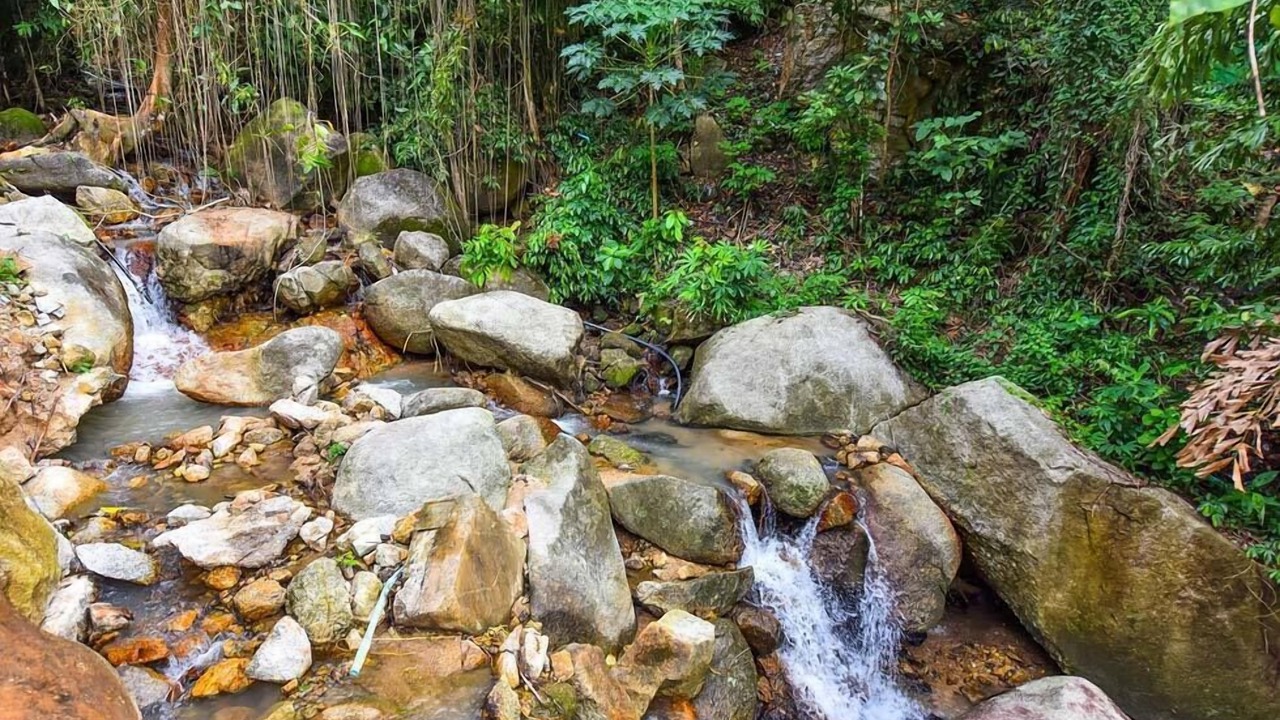 Photo of Outdoor in Kamala