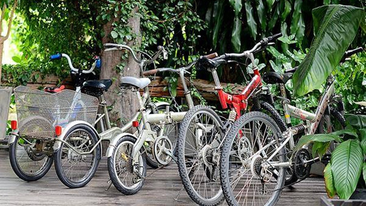 Photo of Outdoor in Chang Phueak