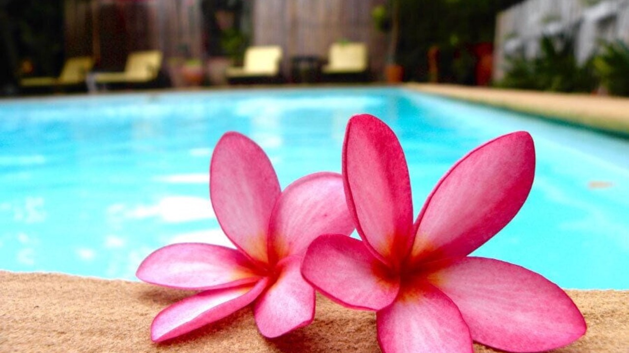 Photo of Outdoor in Chiang Mai
