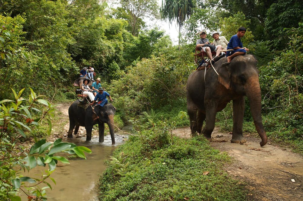 Photo of Others in Rawai