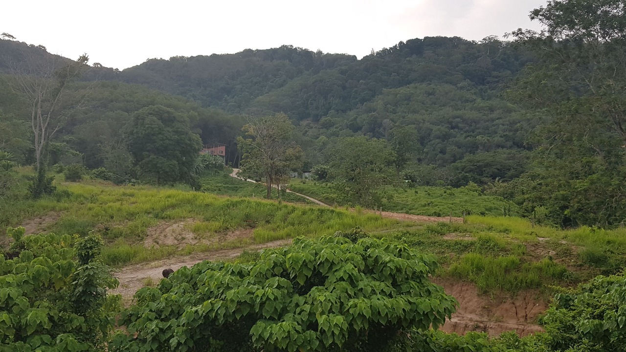 Photo of Outdoor in Chalong