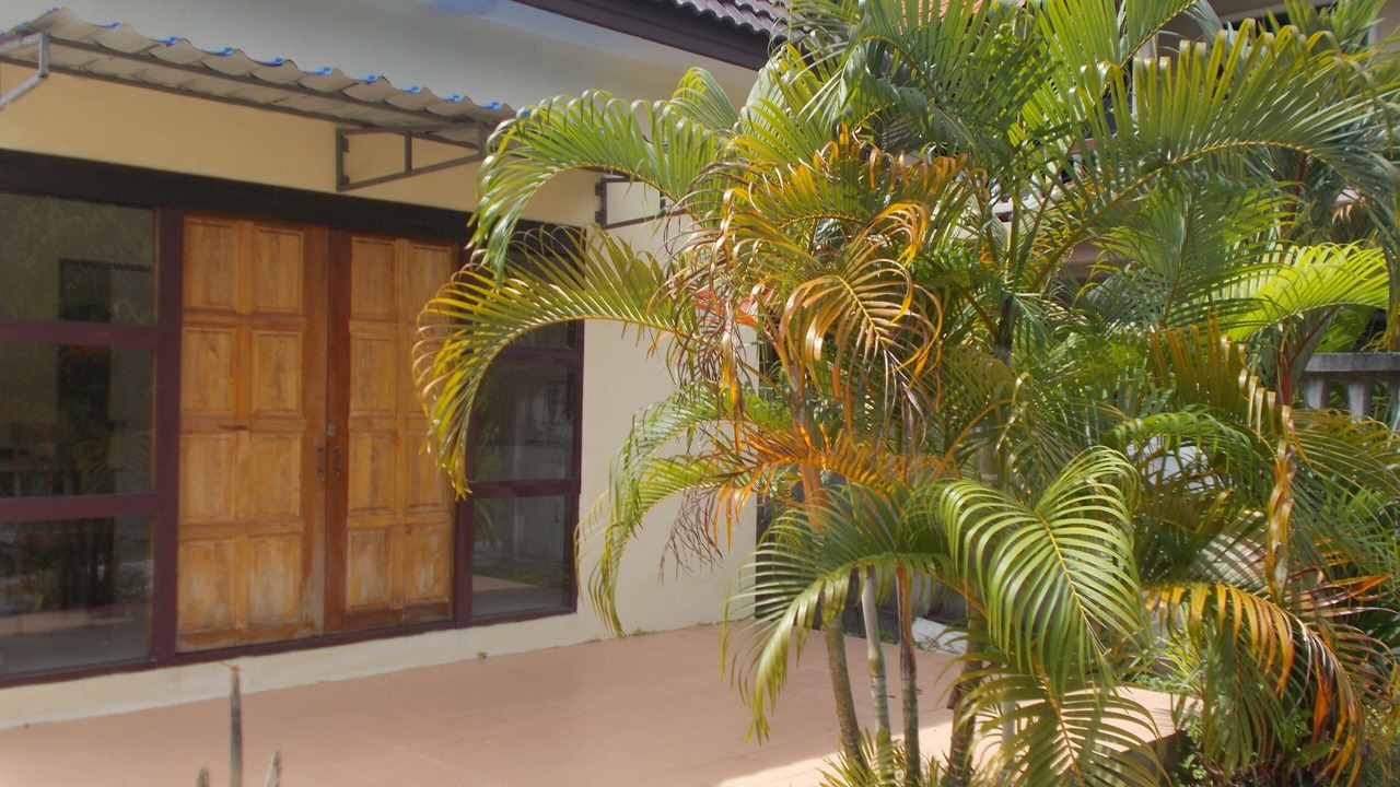 Photo of Outdoor in Patong
