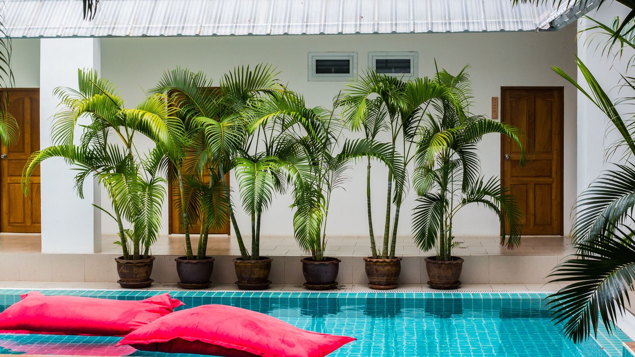 Photo of Outdoor in Kata
