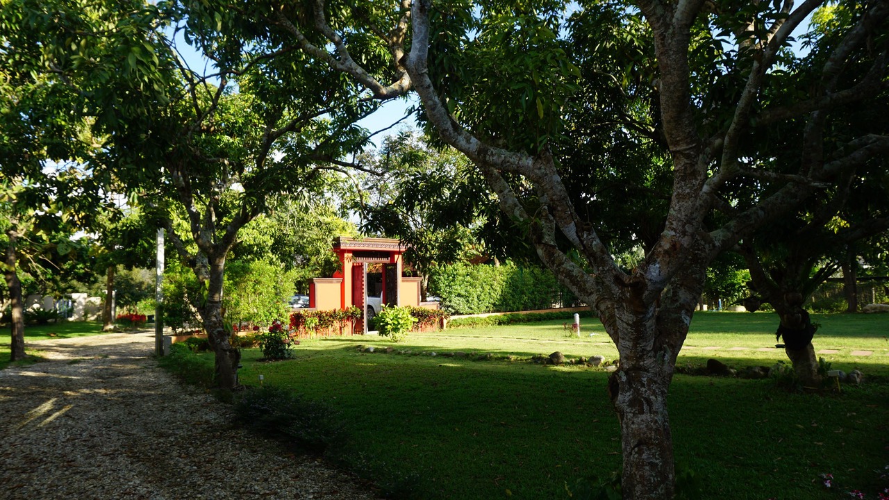 Photo of Outdoor in Fang