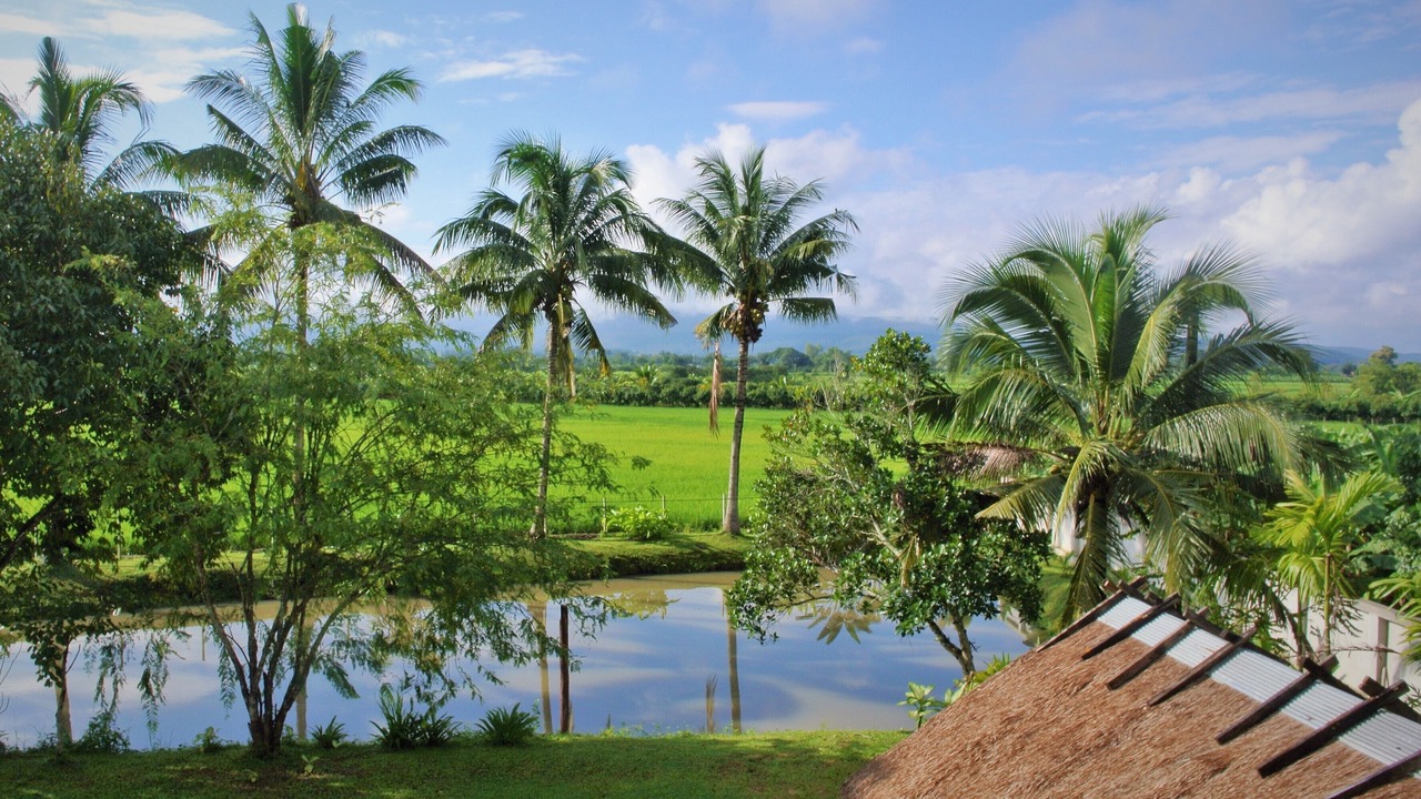 Photo of Outdoor in Cho Lae