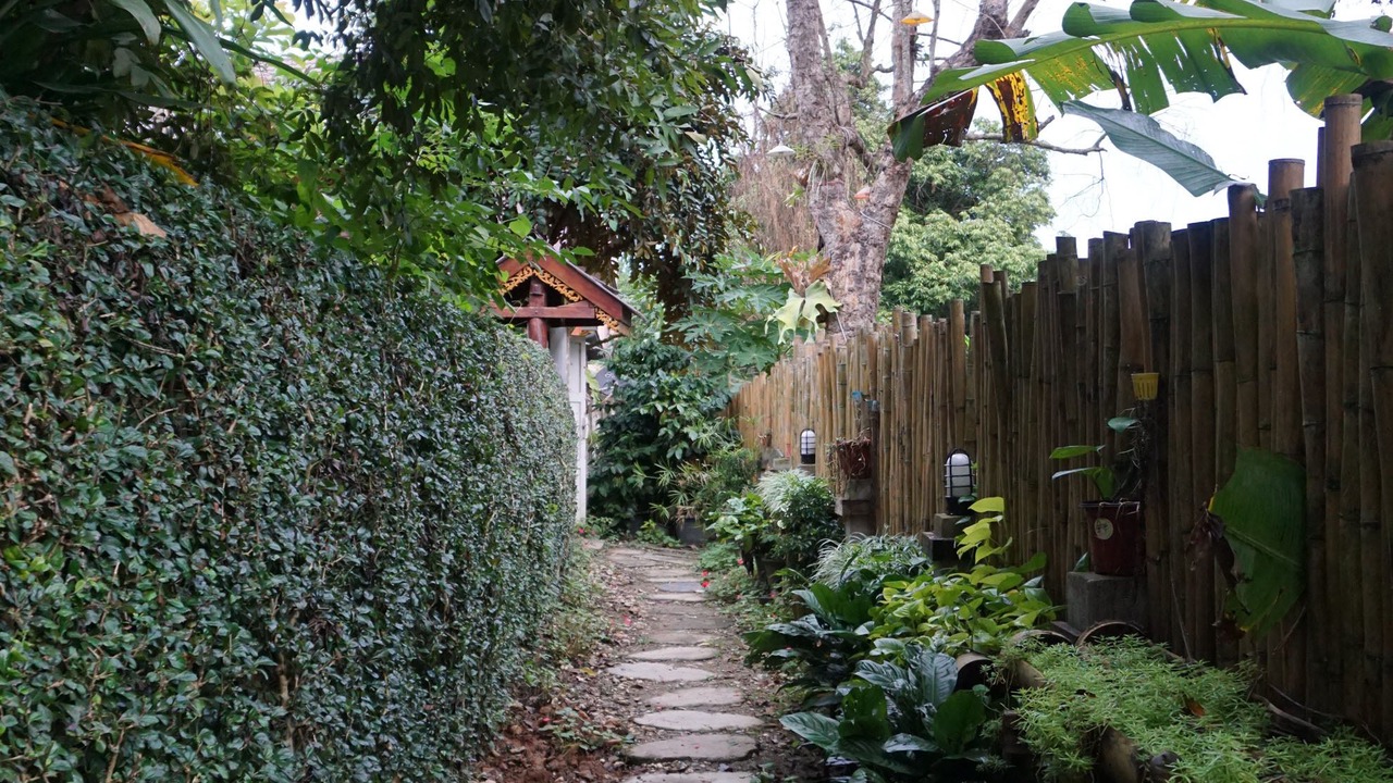 Photo of Outdoor in Mae Kon