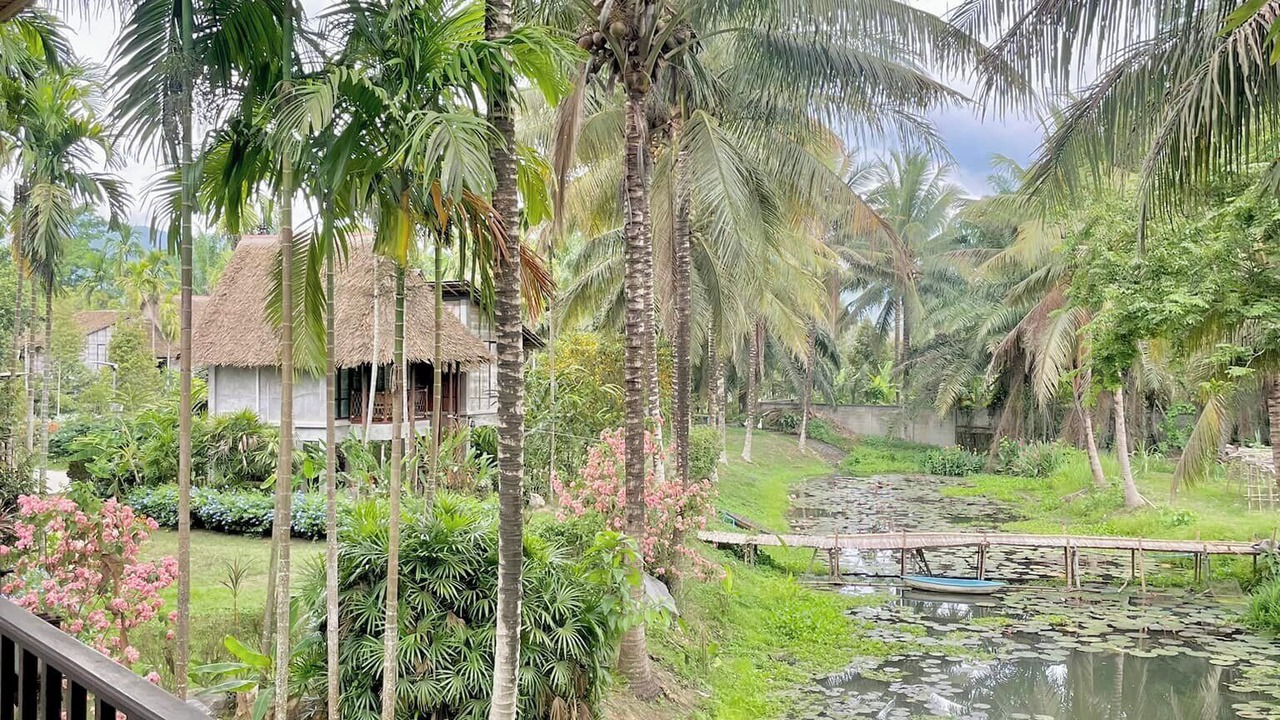 Photo of Outdoor in Kaeng Krachan