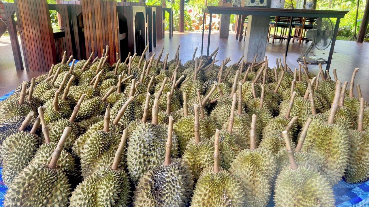 Photo of Outdoor in Kaeng Krachan