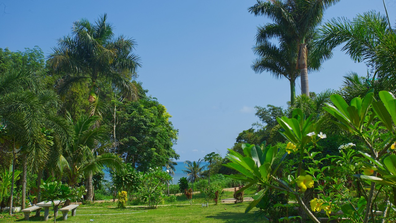Photo of Outdoor in Ko Mak