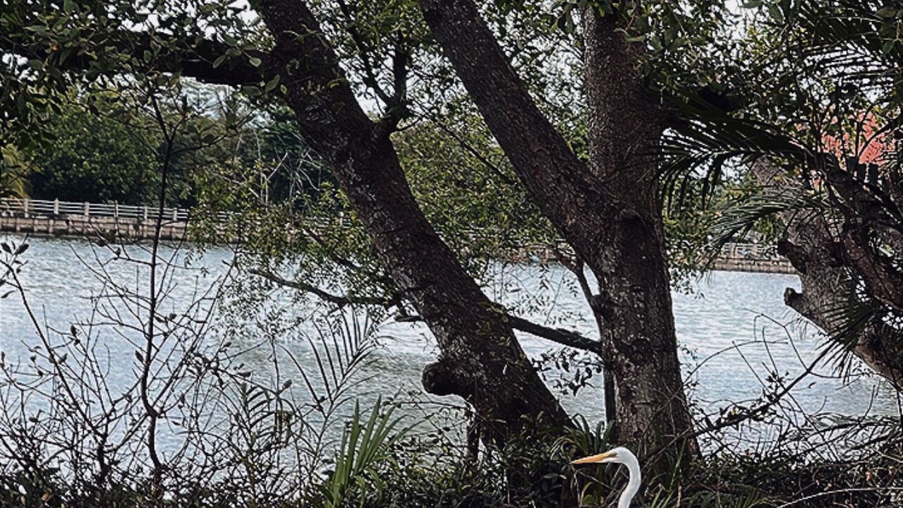 Photo of Outdoor in Amphawa