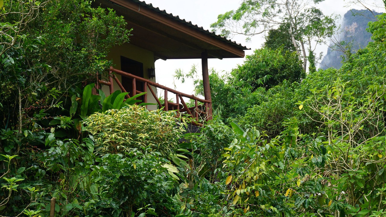 Photo of Outdoor in Chiang Dao