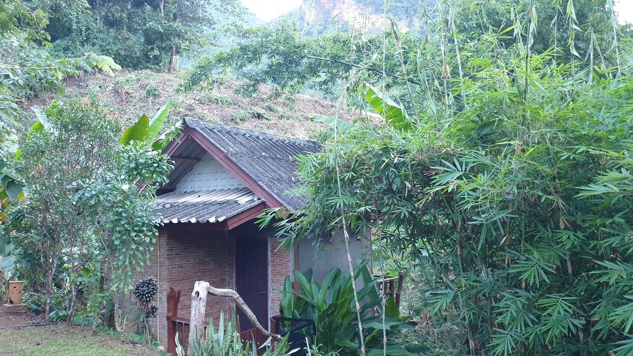 Photo of Others in Chiang Dao