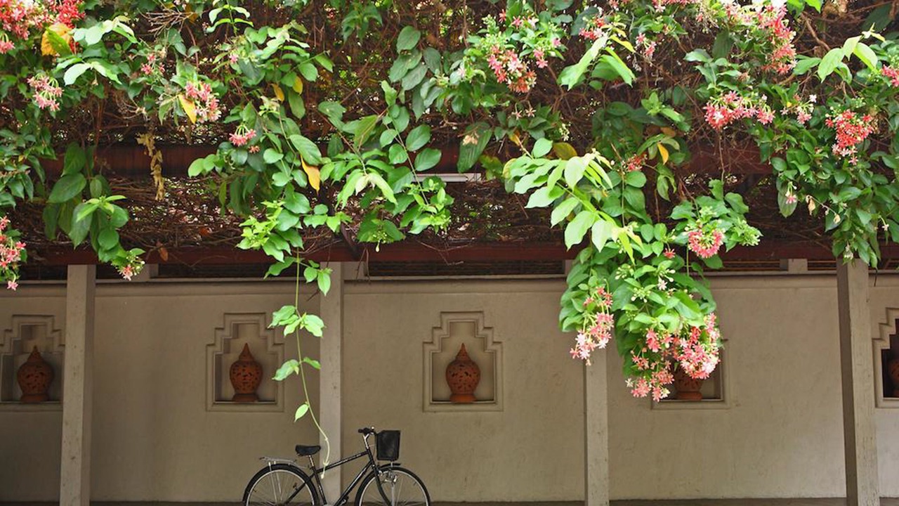 Photo of Outdoor in Chiang Mai