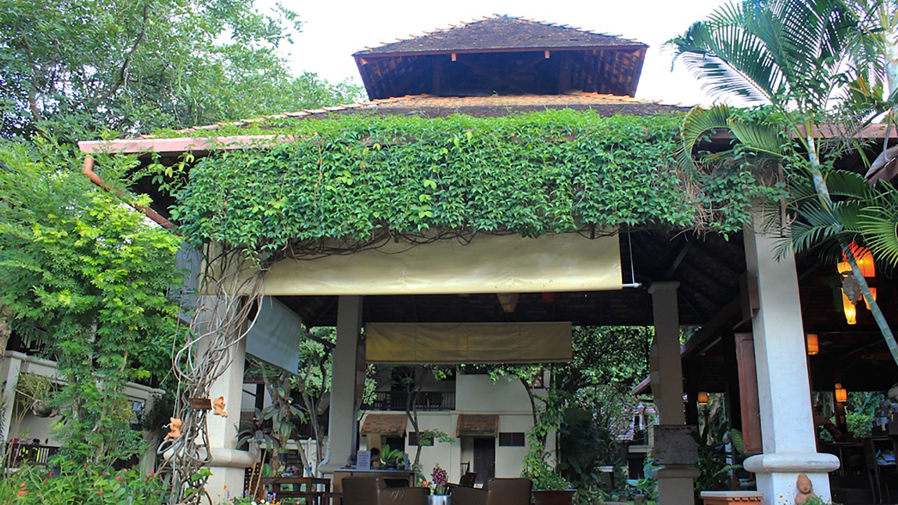 Photo of Others in Chiang Mai