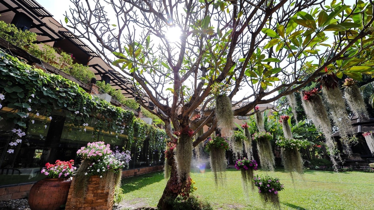Photo of Outdoor in Huay Kaew