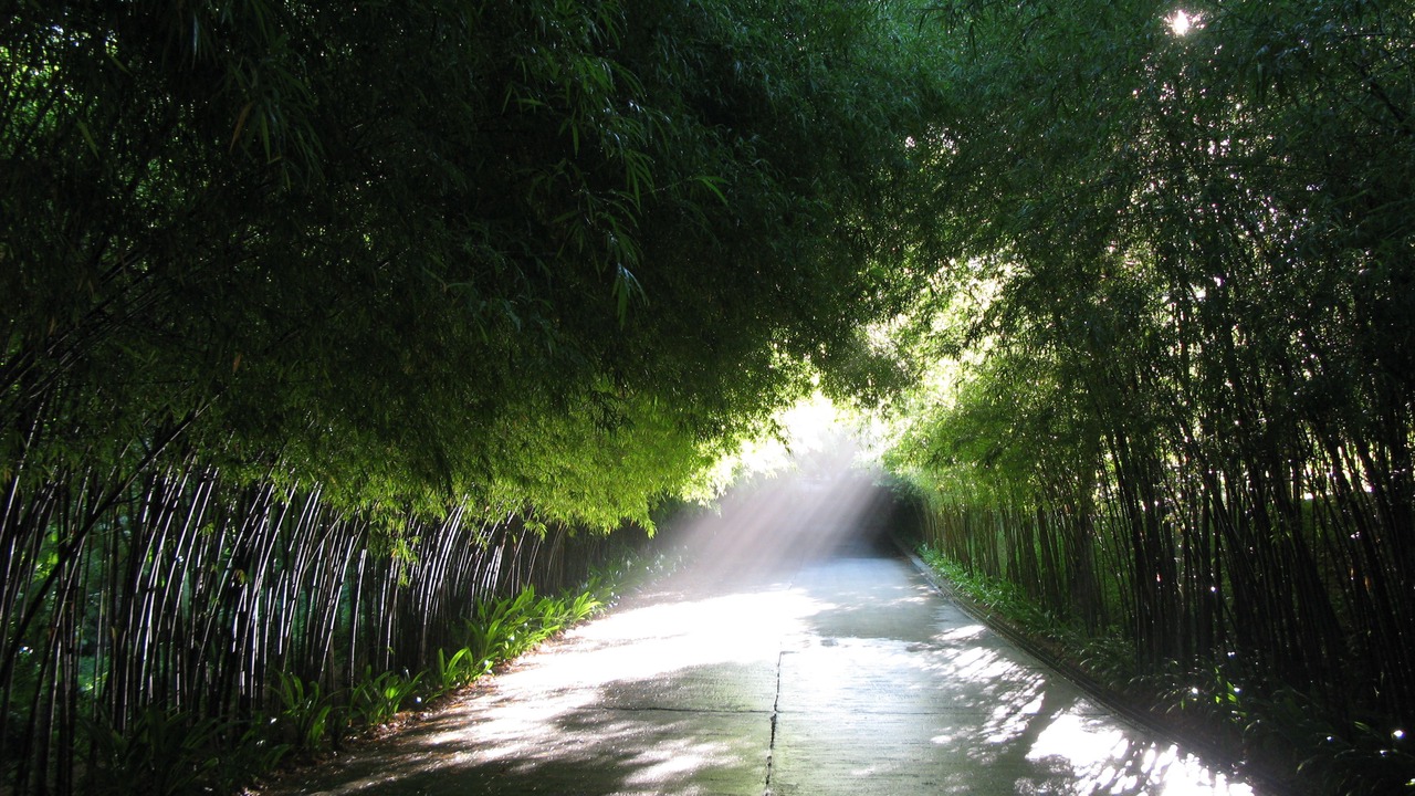 Photo of Outdoor in Choeng Thale