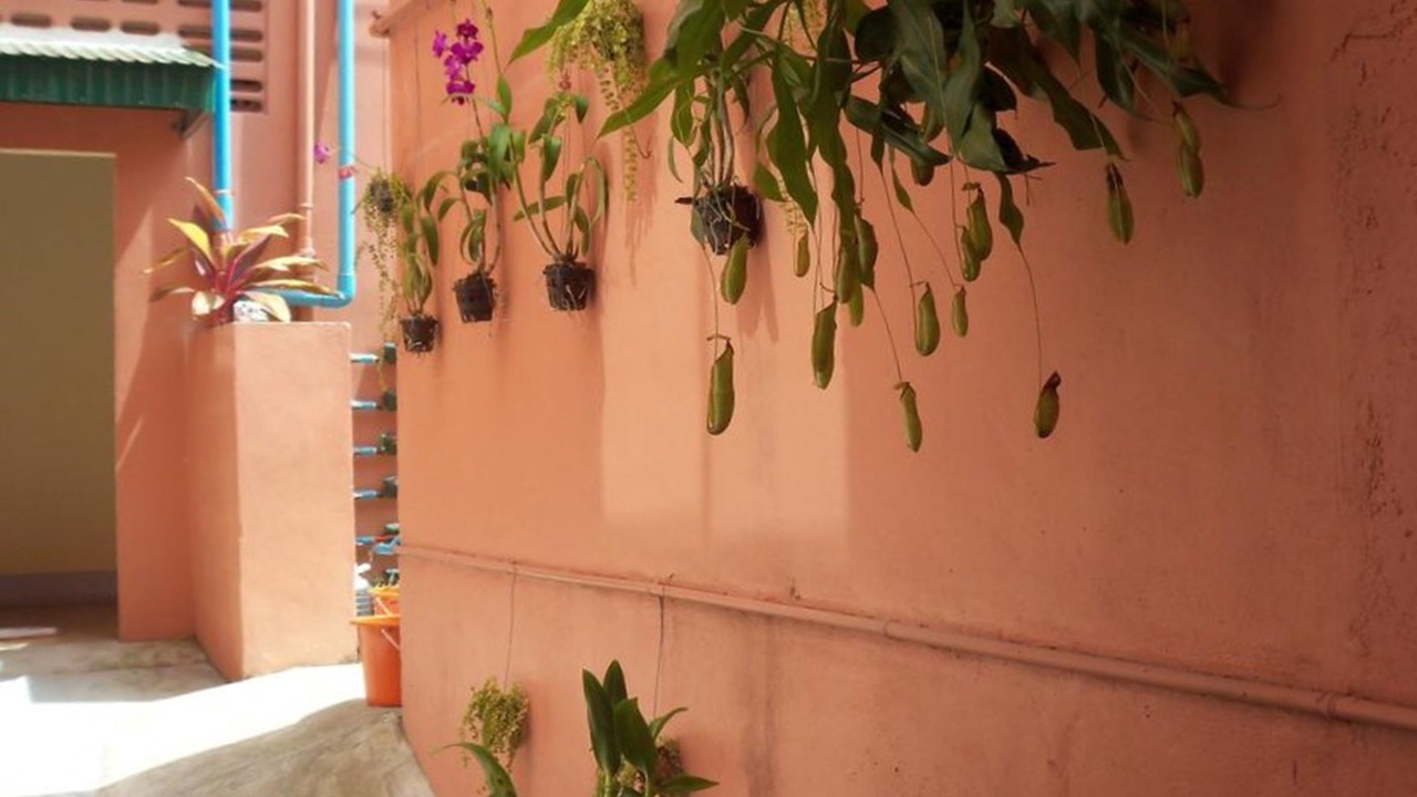 Photo of Outdoor in Old Phuket Town