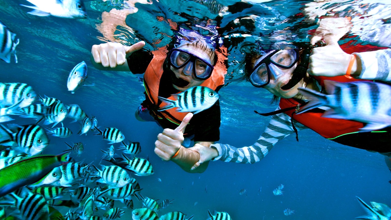 Photo of Others in Ko Pha-ngan