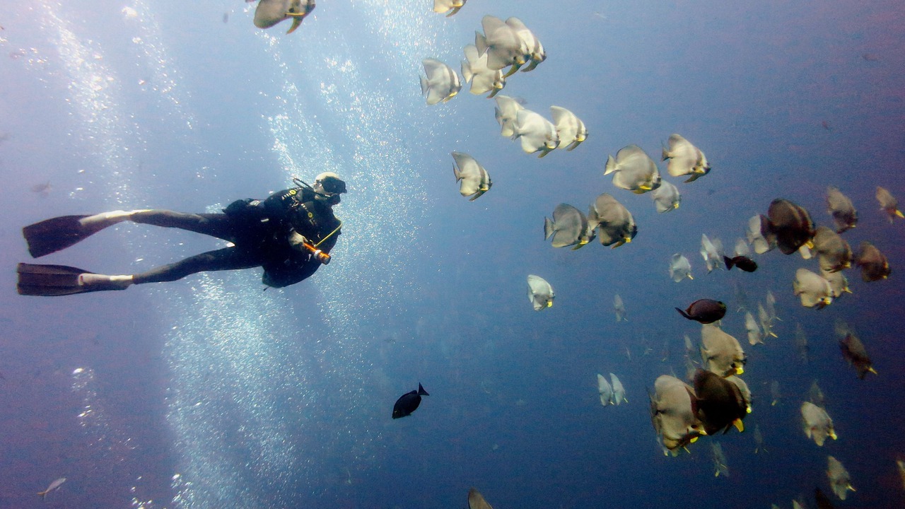 Photo of Others in Ko Pha-ngan