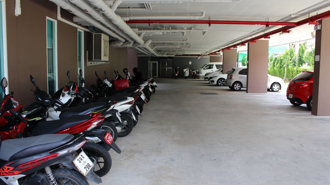 Photo of Others in Kata