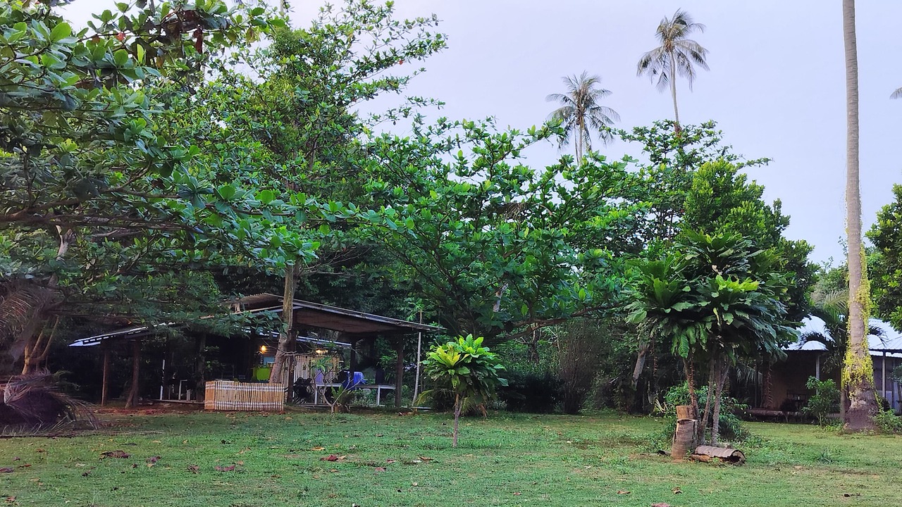 Photo of Outdoor in Ko Mak