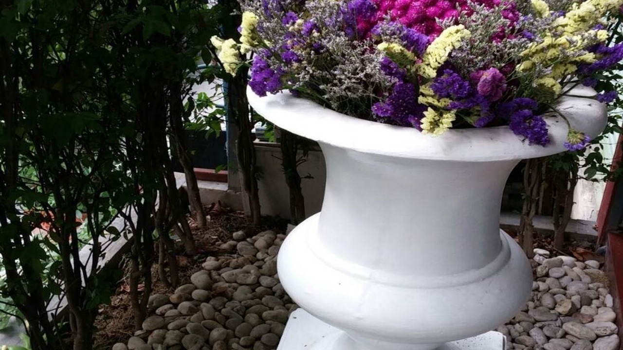 Photo of Outdoor in Thung Song Hong