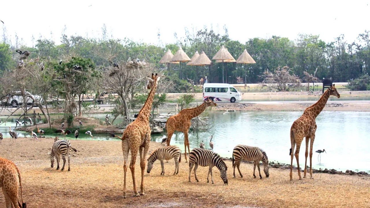 Photo of Others in Khu Khot