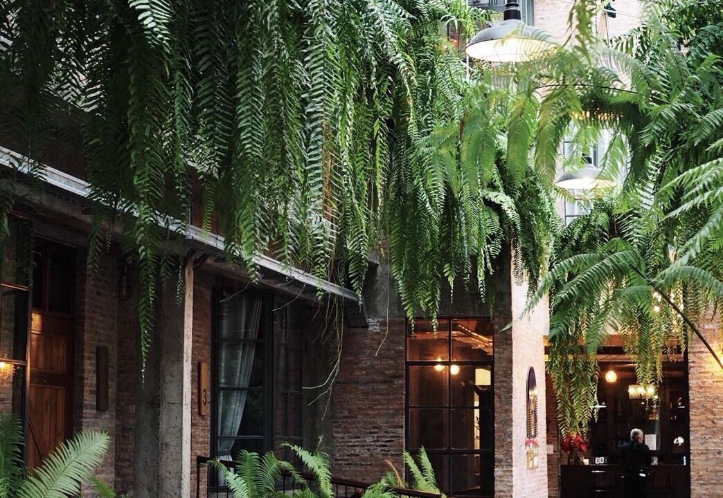 Photo of Outdoor in Nai Wiang