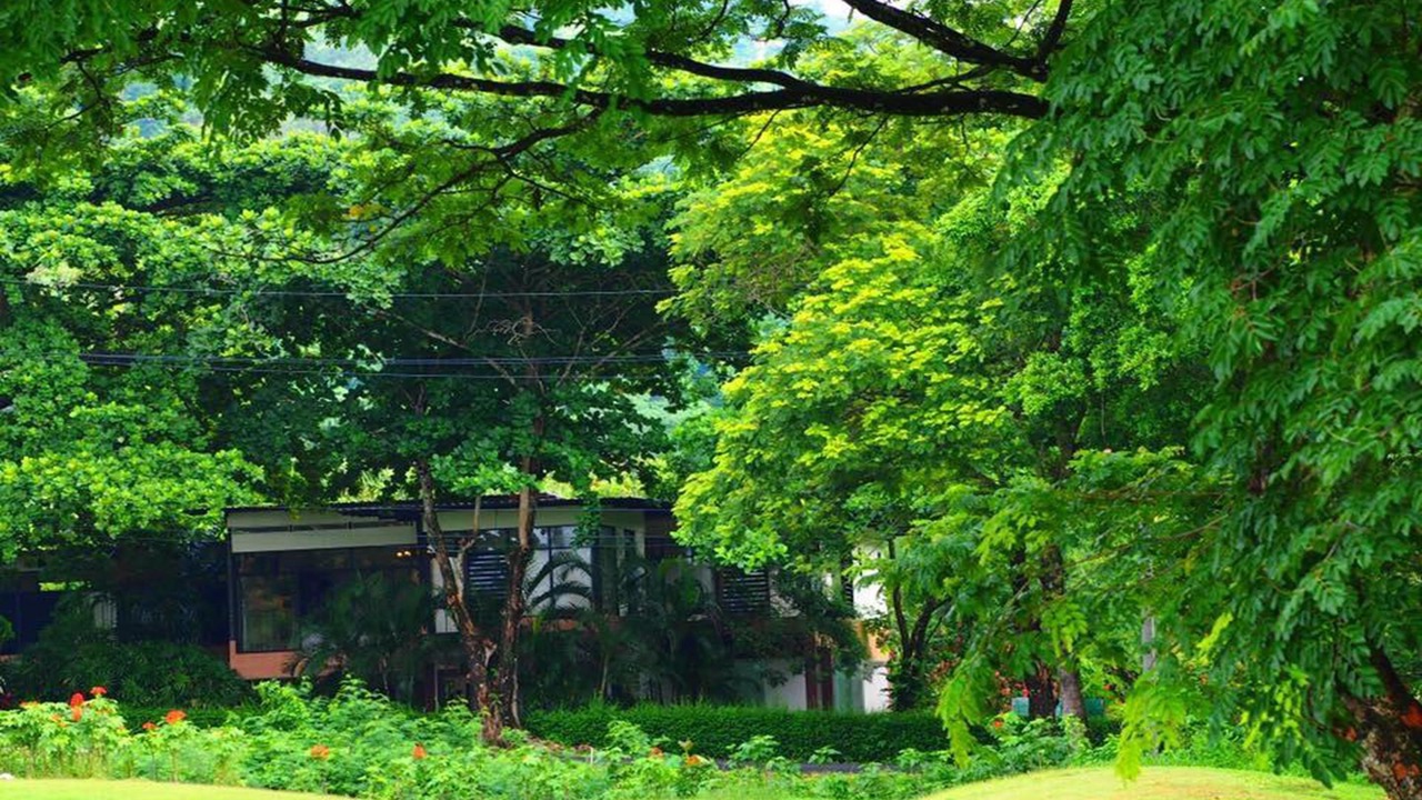 Photo of Outdoor in Sarika