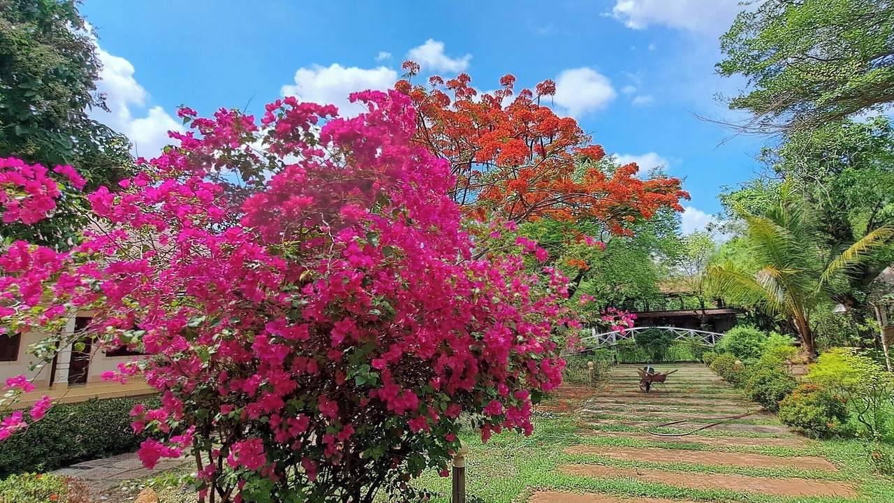 Photo of Outdoor in Pakse