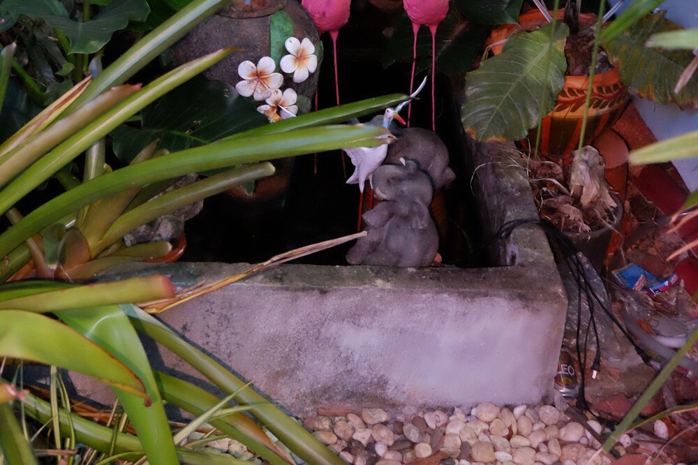 Photo of Outdoor in Na Ta Luang