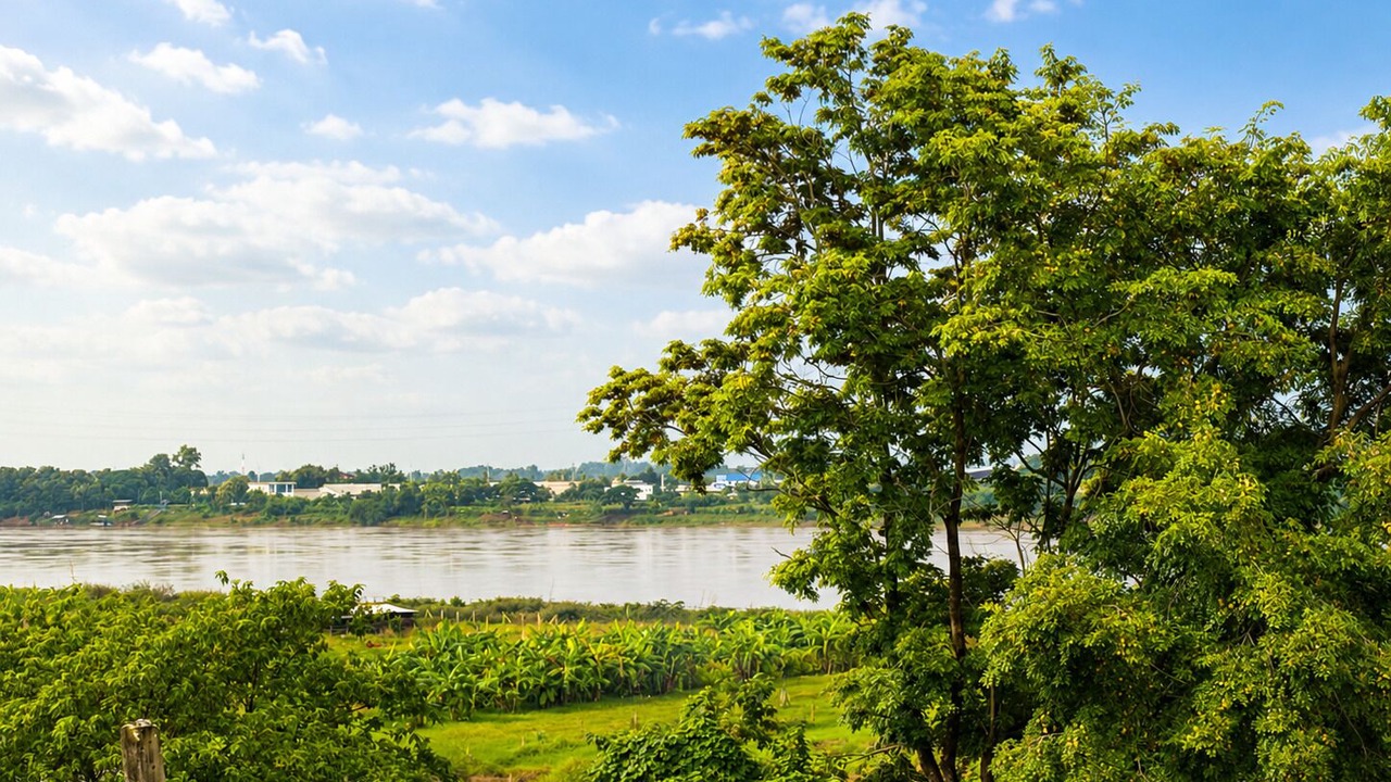 Photo of Outdoor in Nong Khai