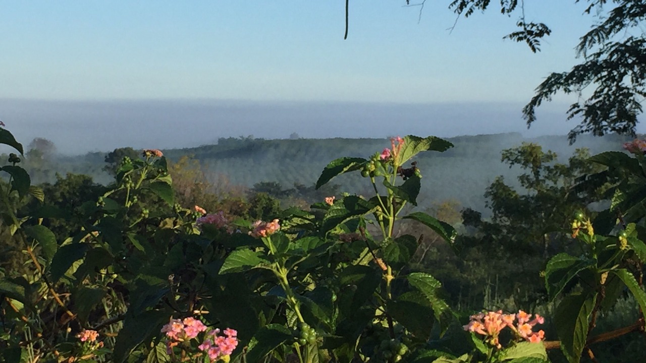 Photo of Outdoor in Pong Ta Long