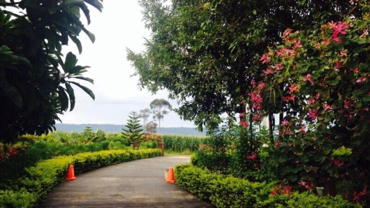 Photo of Outdoor in Pong Ta Long