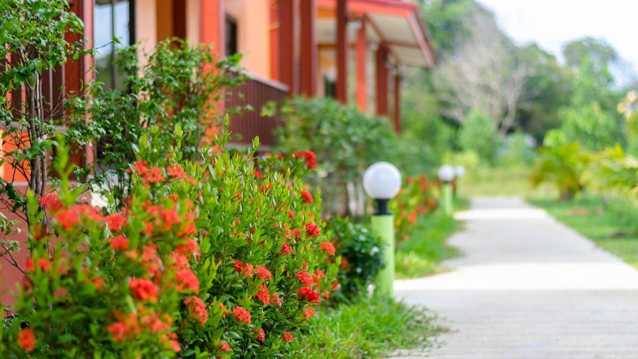Photo of Outdoor in Ko Lanta