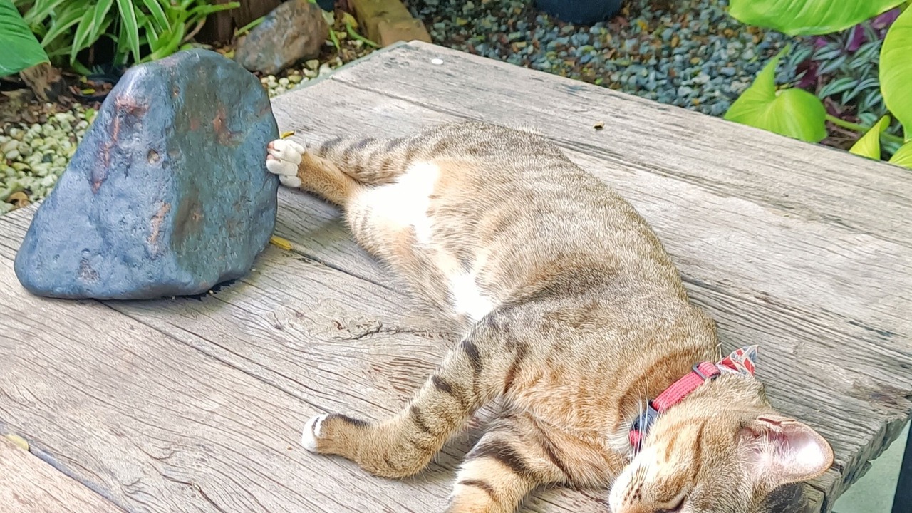 Photo of Outdoor in Ayutthaya