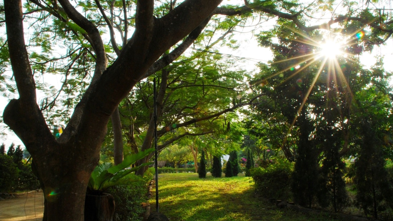 Photo of Outdoor in Mae Wang