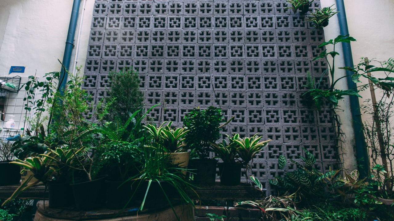 Photo of Outdoor in Old Phuket Town
