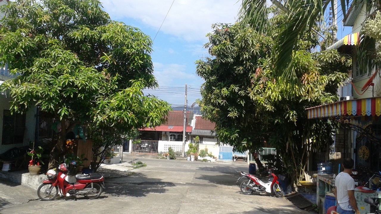 Photo of Outdoor in Wichit