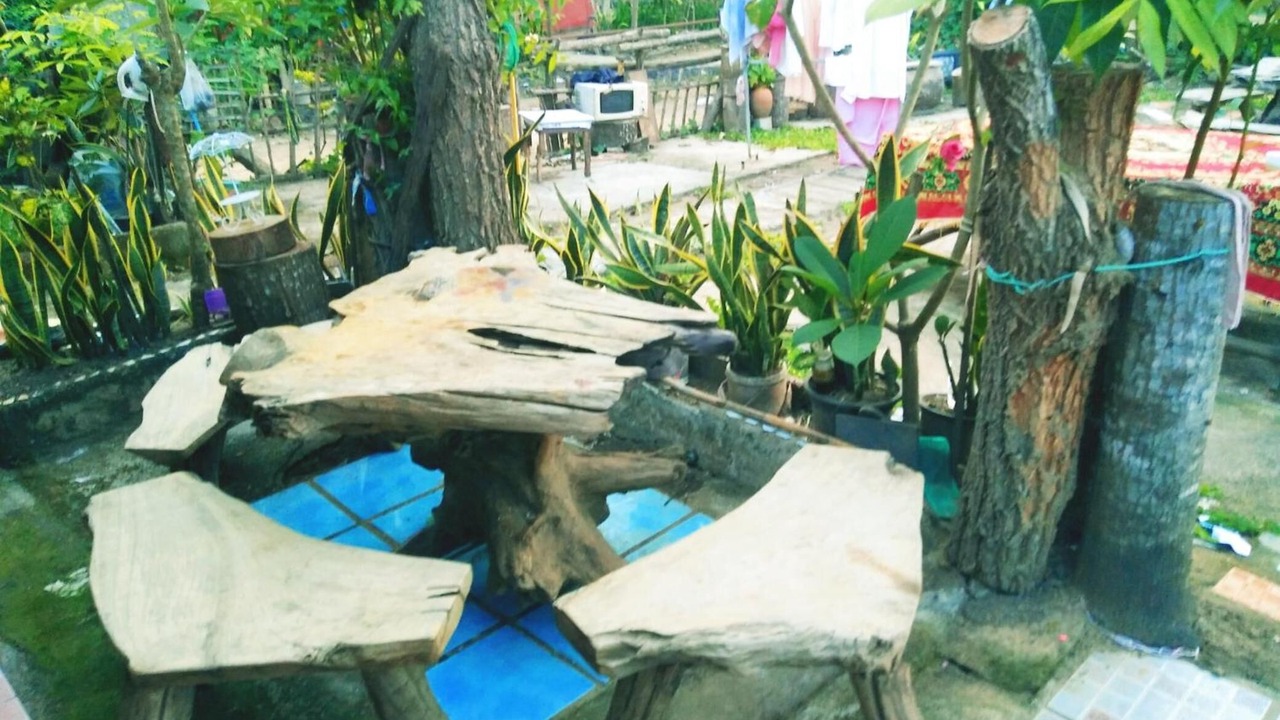 Photo of Others in Choeng Doi