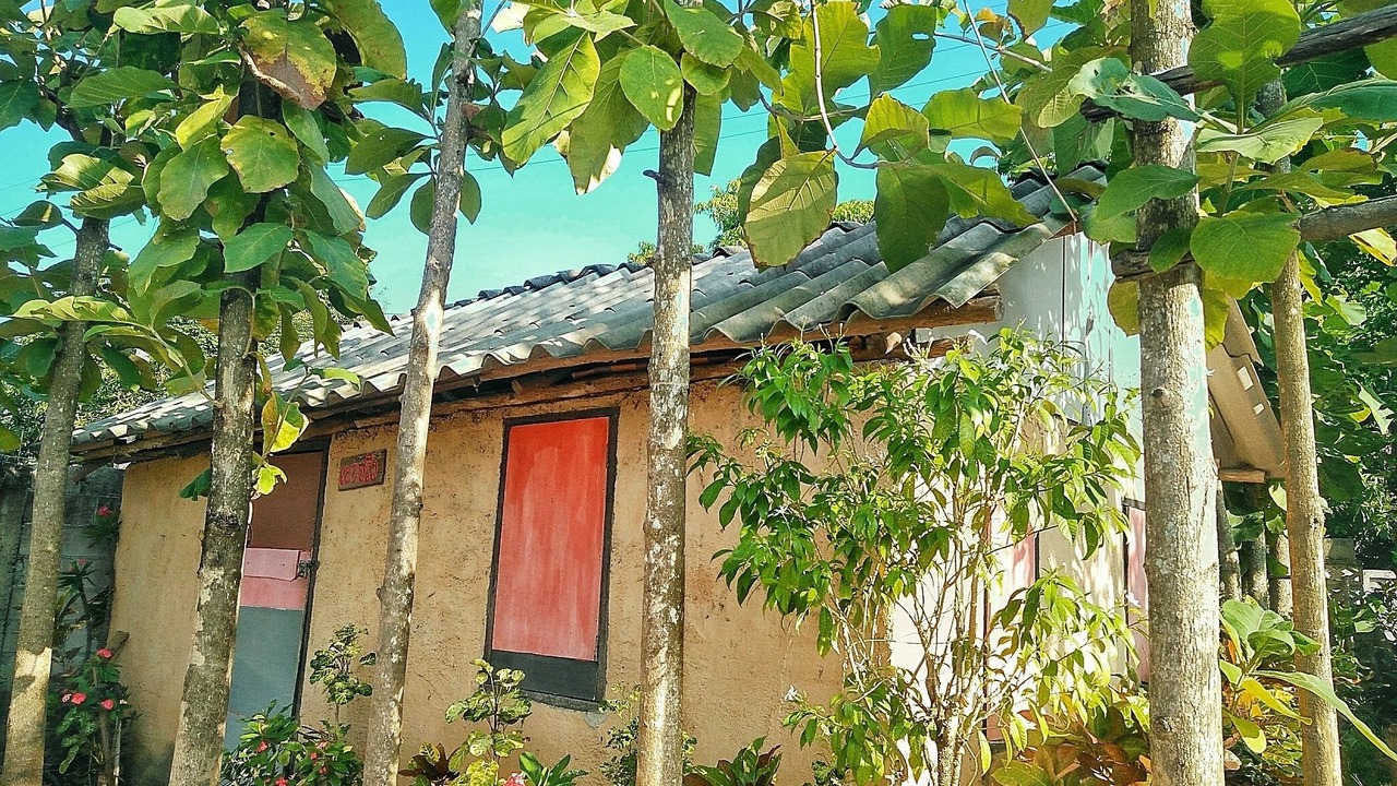 Photo of Outdoor in Choeng Doi