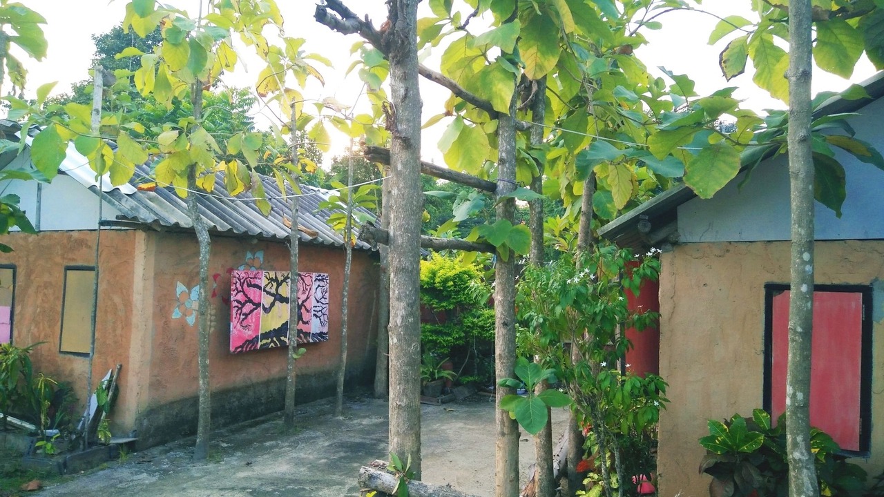Photo of Outdoor in Choeng Doi