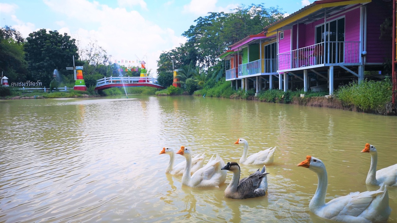 Photo of Outdoor in Wihan Daeng