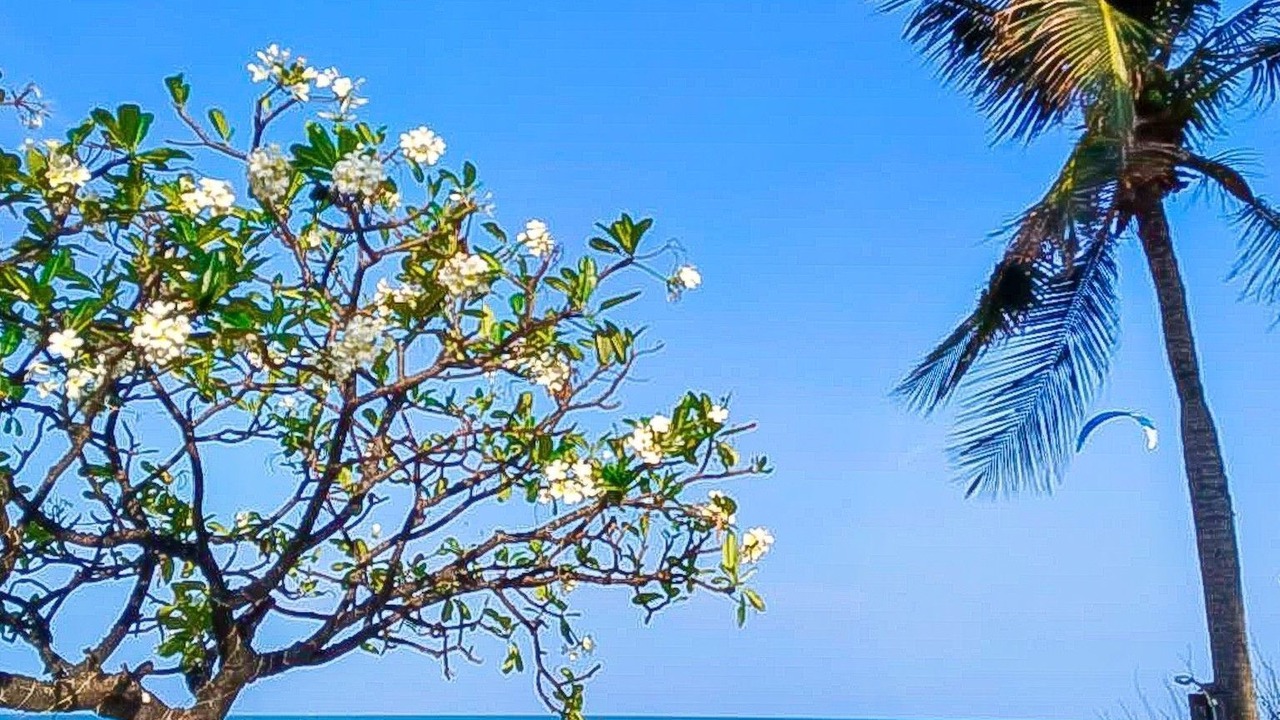 Photo of Outdoor in Pak Nam Pran