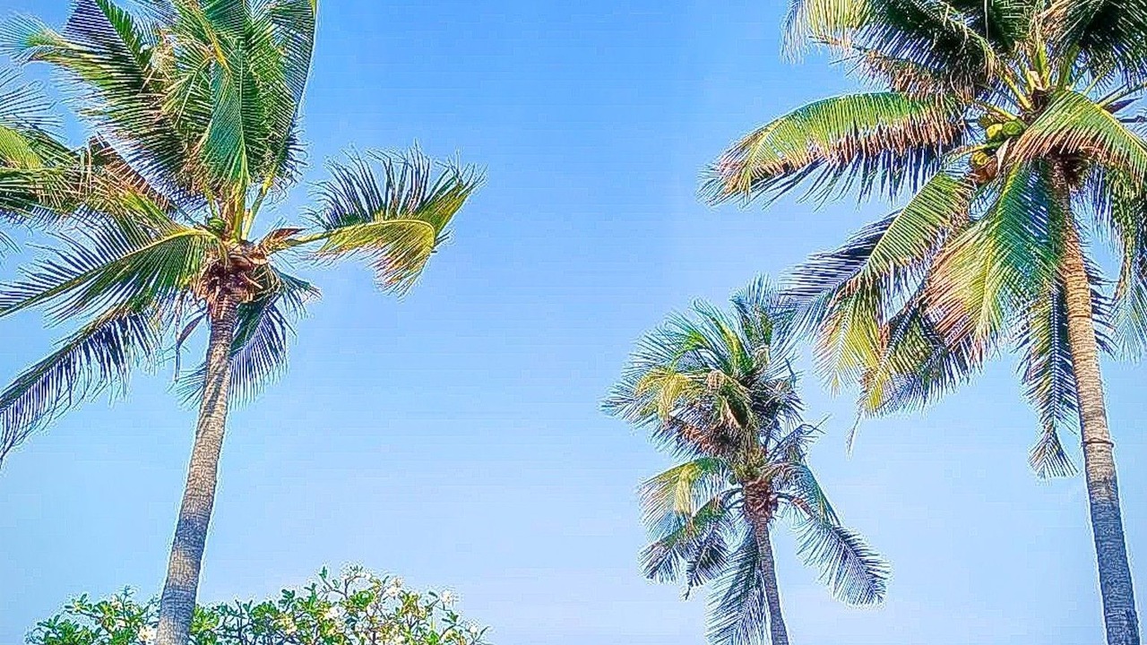 Photo of Outdoor in Pak Nam Pran