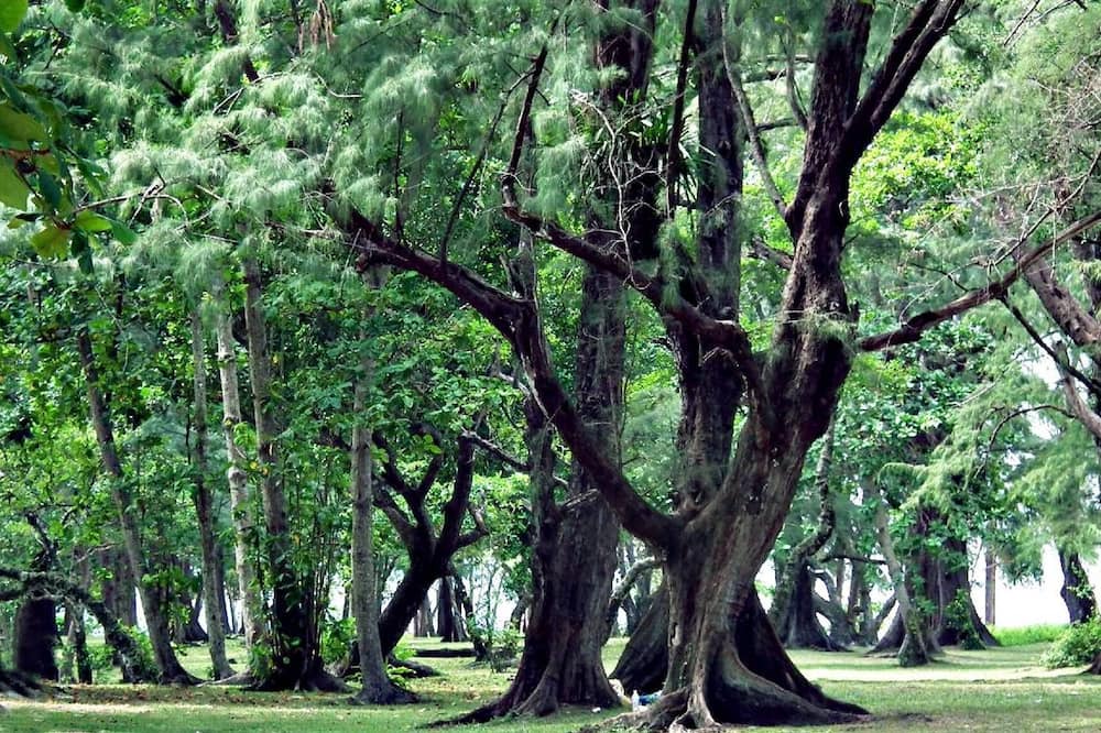 Photo of Outdoor in Sa Khu
