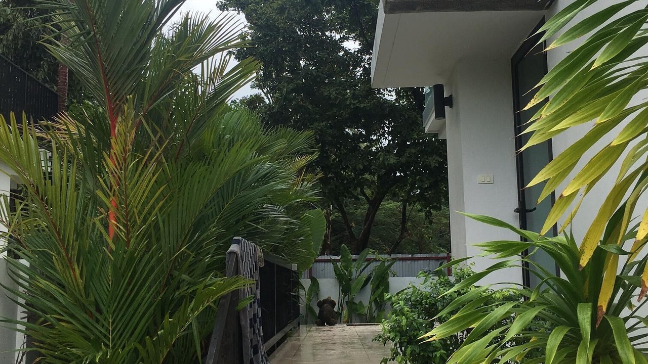 Photo of Outdoor in Kathu