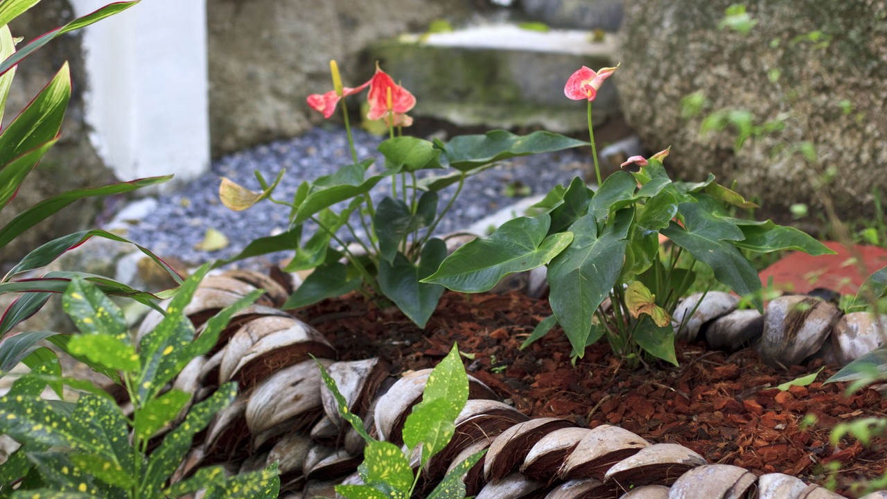 Photo of Outdoor in Baan Tai