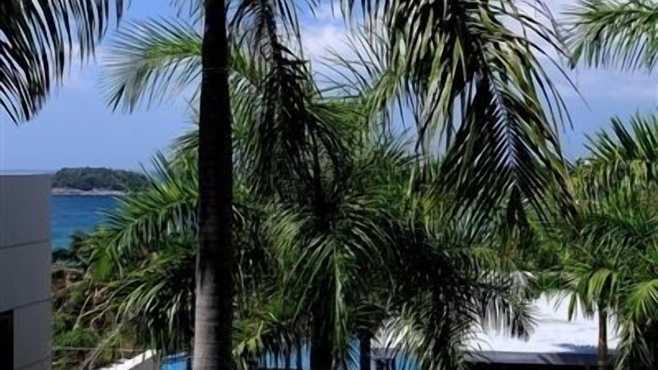 Photo of Outdoor in Kata