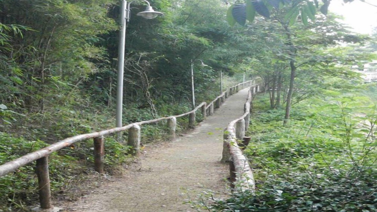 Photo of Outdoor in Suan Phueng